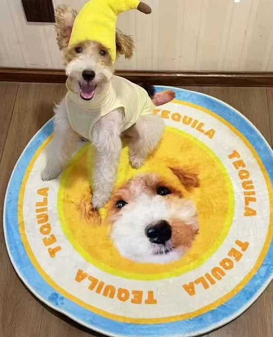 Custom Pet Portrait Plush Rug – Your Fur Baby, Forever Underfoot