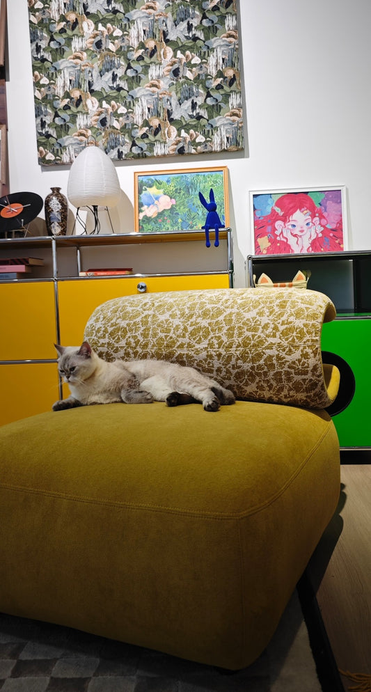 Pet-Friendly Crescent Accent Chair – Cozy Shared Lounge for Humans & Furry Friends