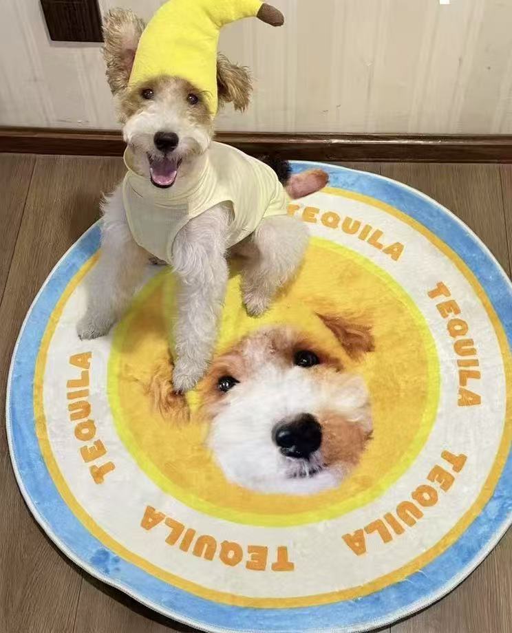 Custom Pet Portrait Plush Rug – Your Fur Baby, Forever Underfoot