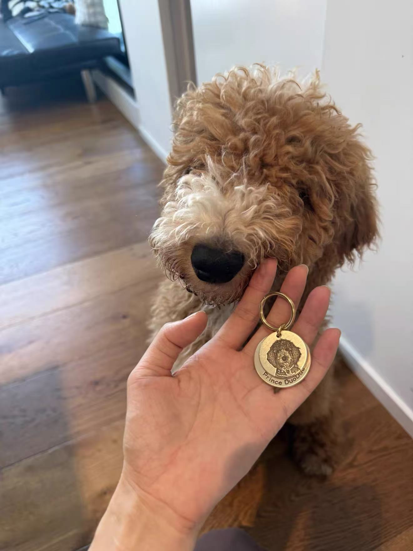 Custom Engraved Brass Pet Tag: Your Pet’s Photo + Contact Info