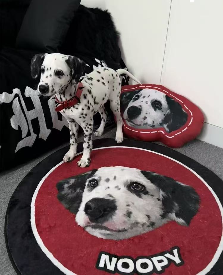 Custom Pet Portrait Plush Rug – Your Fur Baby, Forever Underfoot
