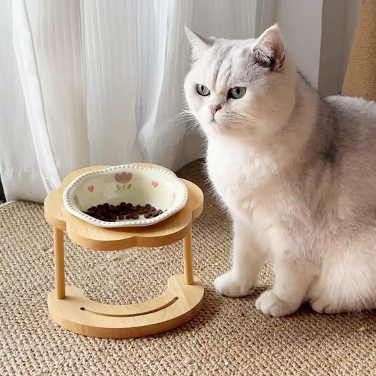 Pet Food Bowl